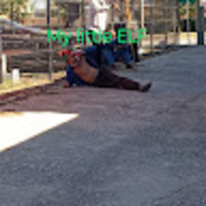 Meet your Posher, Adrian